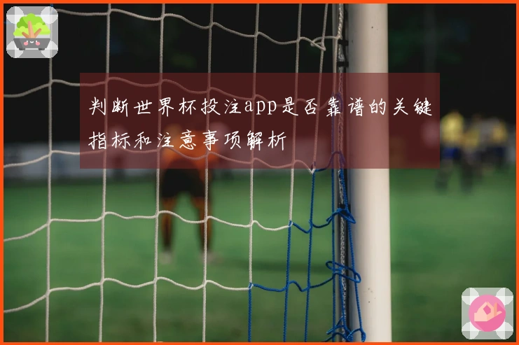 判断世界杯投注app是否靠谱的关键指标和注意事项解析