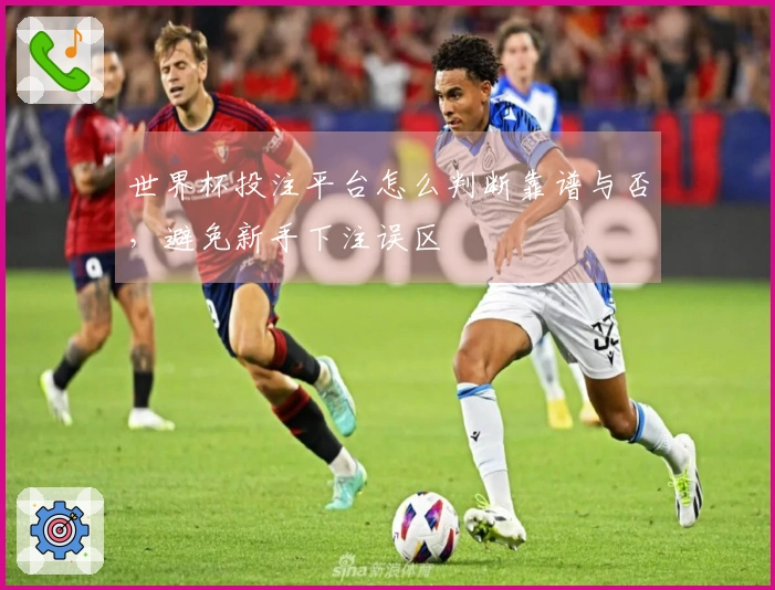 世界杯投注平台怎么判断靠谱与否，避免新手下注误区