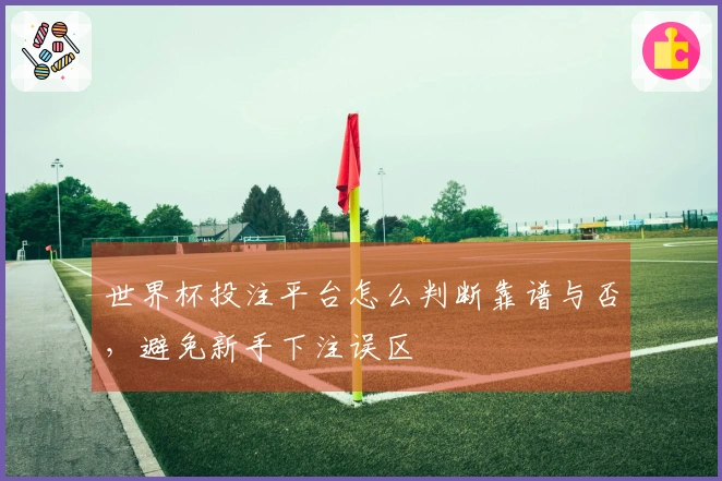 世界杯投注平台怎么判断靠谱与否，避免新手下注误区