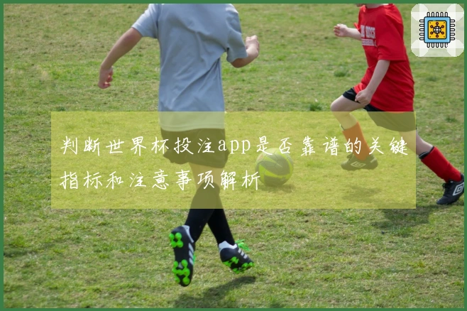 判断世界杯投注app是否靠谱的关键指标和注意事项解析